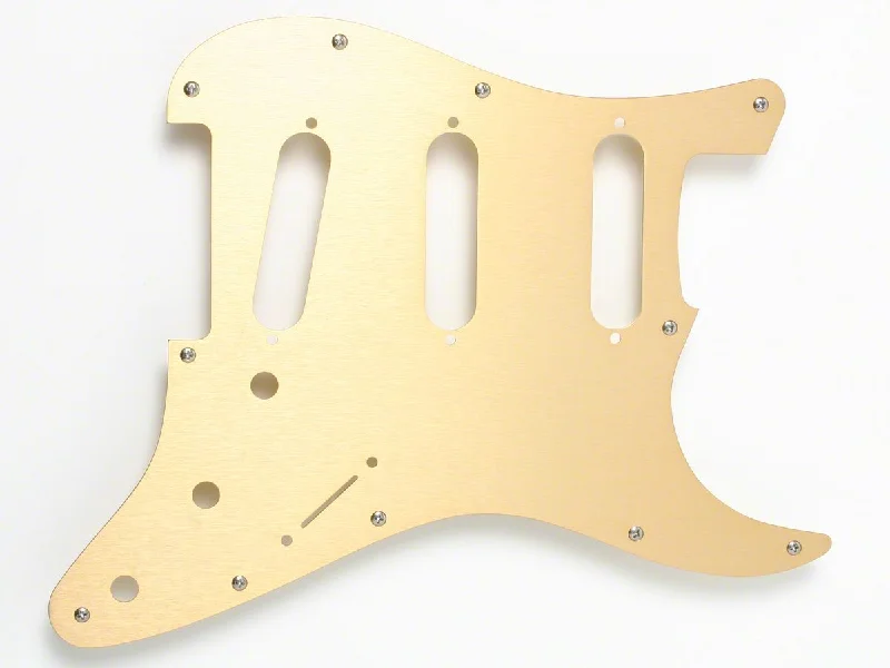 Kit, Fender Pickguard, Gold Anodized, Aged White Accessory Kit, Stainless Hardware